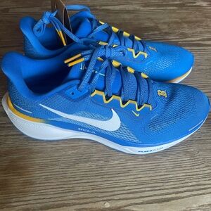 Nike Pegasus Running Shoe